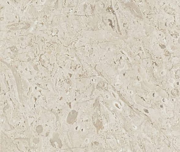 Sedimanter kökenli mermere desen oluşturan fosiller