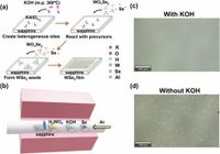 Large-scale alkali-assisted growth of monolayer and bilayer WSe2 with a low defect density - Nature Communications