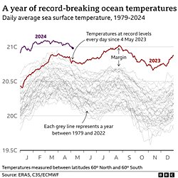 Dünya Okyanusları Rekor Kıran Sıcaklıklardan Muzdarip.