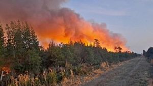 Carolina Forest Wildfires Prompt Evacuations And State Of Emergency