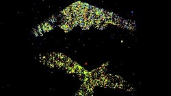 Kuantum Radarı Nedir? Kuantum Radar Teknolojisi Havacılıkta Nasıl Kullanılır?