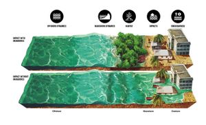 Maximizing Carbon Benefits Through Effective Mangrove Restoration