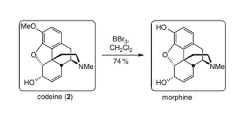 Kodeinden morfin eldesini zaten Fukuyama'dan biliyoruz.