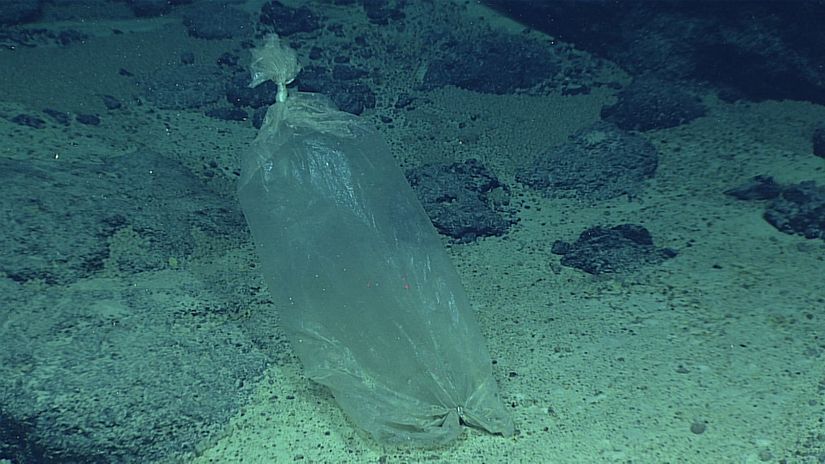 Bu fotoğraf, su yüzeyinin 3700 metre altındaki Enigma Sualtı Tümseği'nde çekildi. Dahası, Dünya'nın en derin noktasına dalış yapan bir ekip, suyun 10 kilometre altındaki Mariana Çukuru'nda da plastik atıklar tespit etmeyi başardılar. Dalış boyunca okyanuslarımızı kirleten 3,425 farklı teneke kutu, bol miktarda plastik parçacık ve atık balık avı araç gereci tespit ettiler.