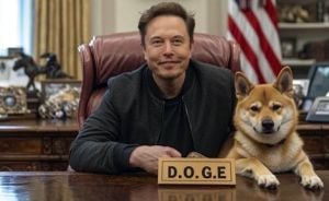 Elon Musk's Leadership Of D.O.G.E. Sparks Controversy