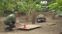 London Zoo animals step onto scales for annual weigh-in