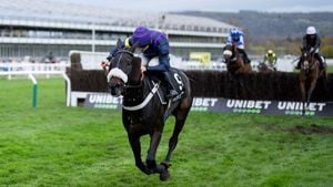 Tragic Day As Three Horses Die At Cheltenham Races