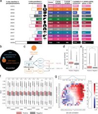 Deciphering the dark cancer phosphoproteome using machine-learned co-regulation of phosphosites - Nature Communications