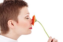 Koku Duyusu Diğer Duyulardan Gelen İpuçlarından Etkileniyor!