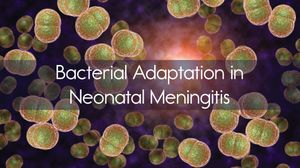 New Insights Into E. Coli's Survival Strategies Against Meningitis