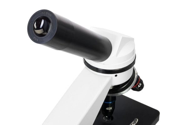 Levenhuk Rainbow D2L 0,3 M Dijital Mikroskop, Moonstone