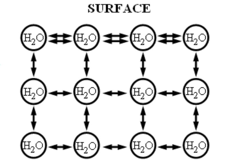 Suyun yüzey katmanı haricinde kalan yerlerde su molekülleri üzerindeki net kuvvet sıfırdır. Yüzeydeyse içe doğru bir net kuvvet oluşmaktadır. Bu kuvvet, yüzey gerilimi kuvvetidir.