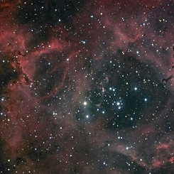 Dust and Light in the Rosette Nebula