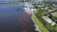 Ocean dumping or a climate solution? A growing industry bets on the ocean to capture carbon