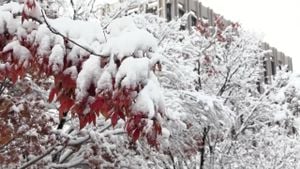 South Korea Experiences Heaviest November Snowstorm In Over A Century