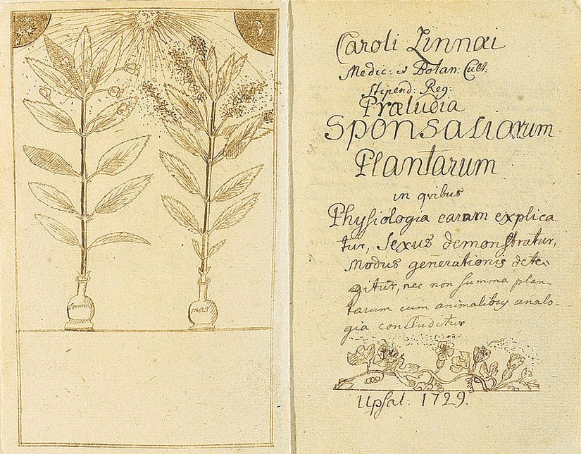 Carl Linnaeus'un bitkilerin üremesi üzerine yazdığı Praeludia Sponsaliorum Plantarum adlı tezi.