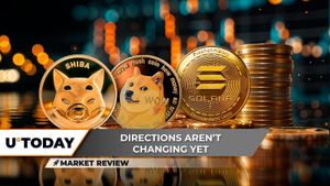 Cryptocurrency Market Shifts: Dogecoin Falls As Panshibi Rises