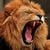 İsmail Baran Aslan