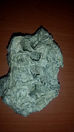 Bugün gezerken bir fosil buldum. Omurga parçasına benziyor ama detaylı şekilde analiz edemedim yardımcı olur musunuz?