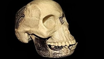 Piltdown İnsanı ve Evrim Karşıtlığı: Bilim Düşmanları, Çürütülmüş Sahte Fosilleri Kullanarak Bilimsel Gerçekleri Nasıl Gizliyor?