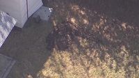 Burleson couple accused of burying special needs son in backyard