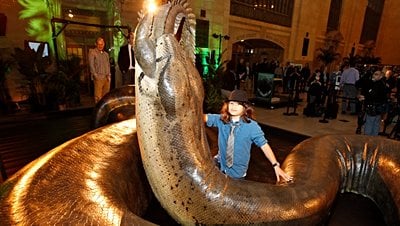 Titanoboa cerrejonensis