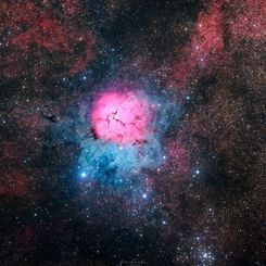 A Beautiful Trifid 