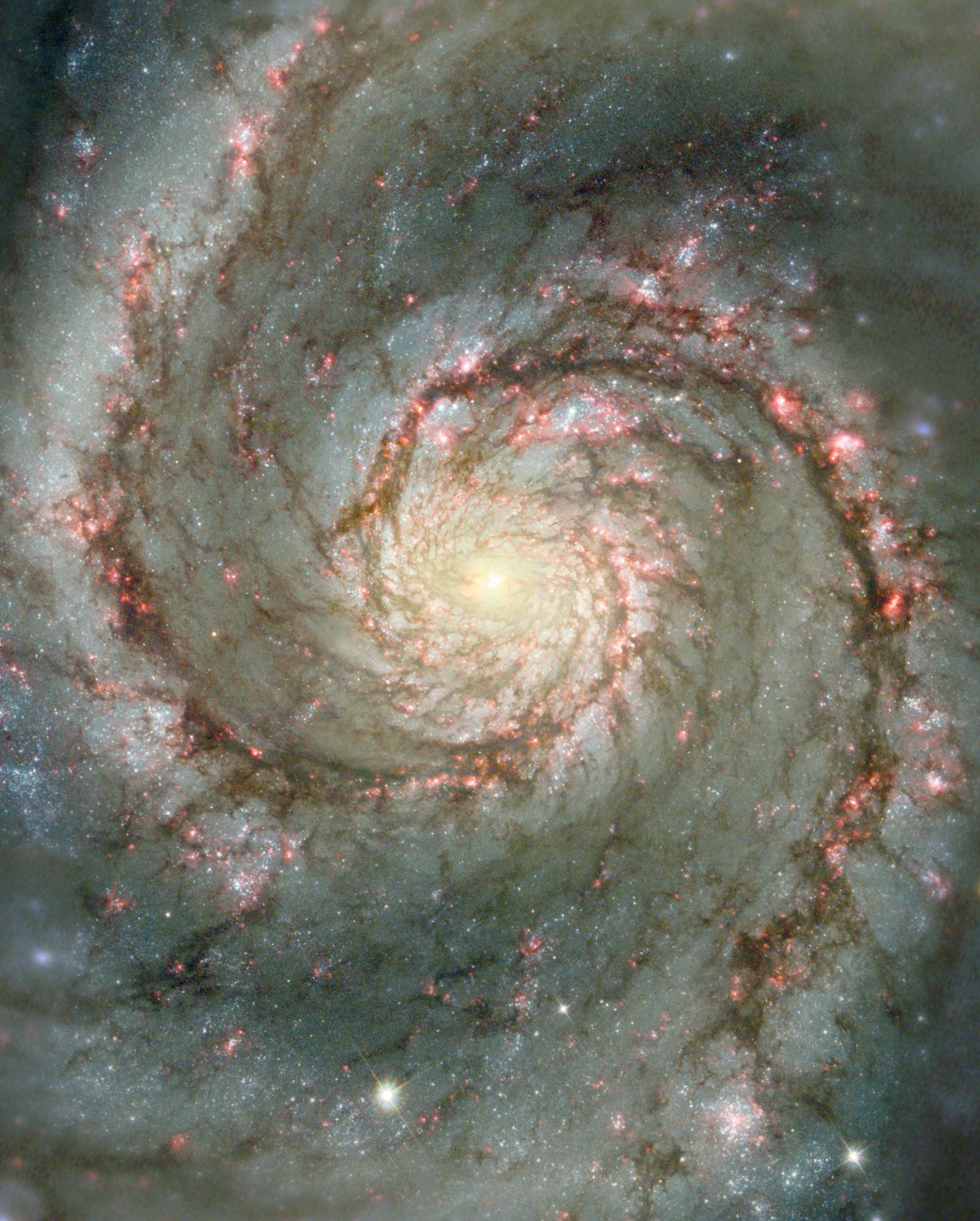 M51: The Whirlpool Galaxy in Dust and Stars