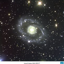 Spiral Galaxy In Centaurus