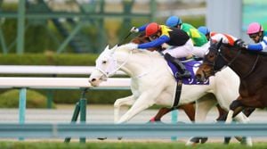 Upcoming Japanese G1 And GII Horse Racing Events Enthrall Fans