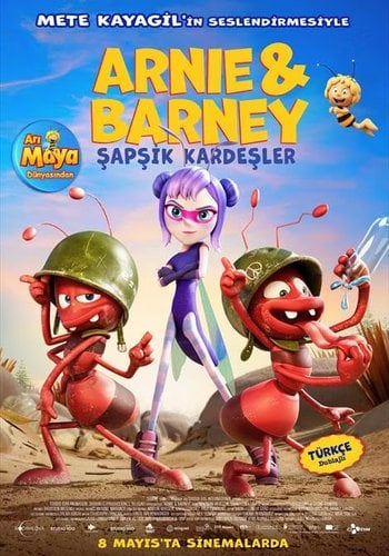 Arnie & Barney Şapşik Kardeşler