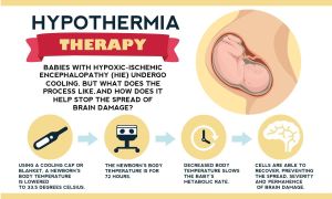 Hypothermia's Neuroprotective Effects Linked To Mitophagy Regulation