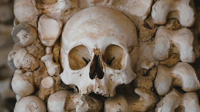 İskeletteki Kemikler ve Dişler Sayesinde Birey Hakkında Hangi Bilgilere Ulaşılabilir? Bir İskelet Bize Neler Söyleyebilir?