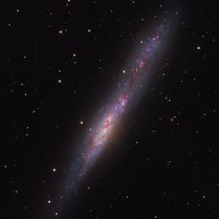  Irregular Galaxy NGC 55 