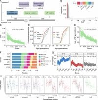 Incorporating genetic load contributes to predicting Arabidopsis thaliana’s response to climate change - Nature Communications