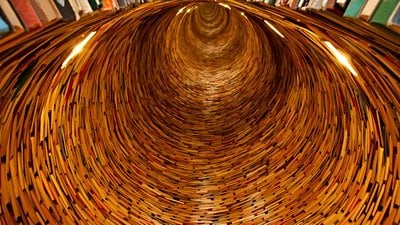 DNA'yı Yeniden Kavramak: Tek Bireyde Birden Fazla Genom Bulunuyor Olabilir mi?