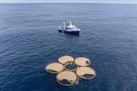 Takeaways from Associated Press report on efforts to capture carbon in the ocean