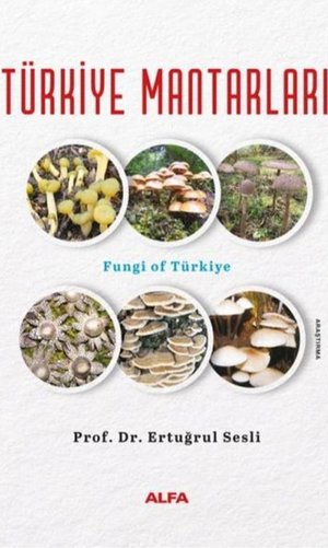 Türkiye Mantarları