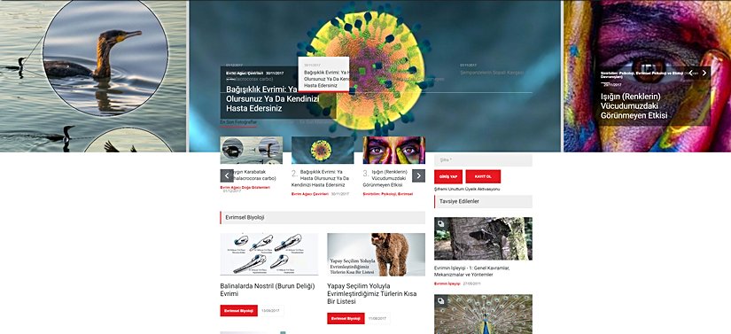 6 Mart 2017'de Evrim Ağacı Delta Sürümü yayına girdi.