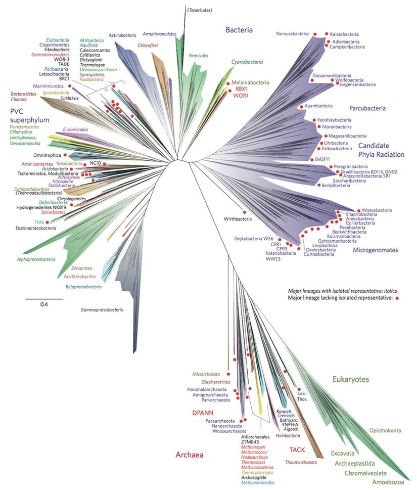 2016 yılında Nature’de yayınlanan makalede yer alan yaşam ağacı taslağı; A new view of the tree of life. Bu yeni metodun amacı genom dizileri üreterek, organizmaları ve onların metobolik kapasitelerini aydınlatmak ve ekosistemdeki yerlerini bulmaktır.