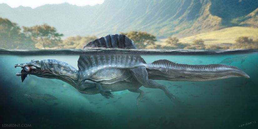 Spinosaurus’un yüzüşü.