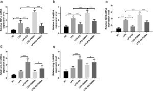 New Bone Cement Shows Promise Against Surgical Infection