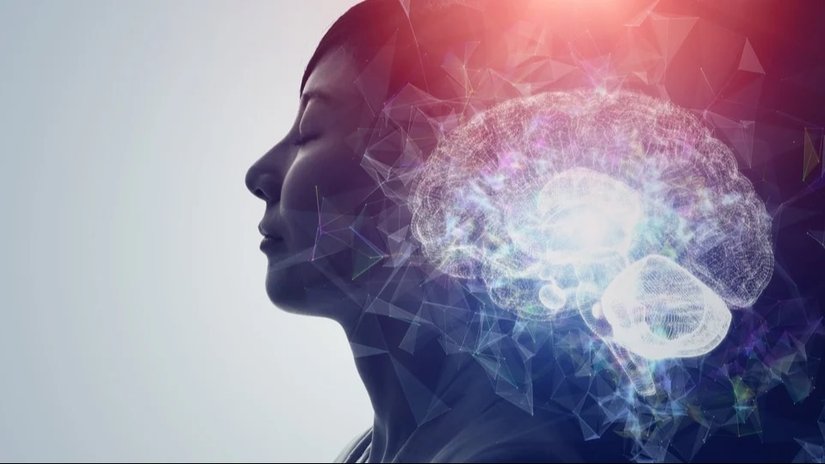Melatonin Hormonu Nedir? Uyku ve Üreme Üzerindeki Etkileri Nasıldır?