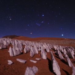  Night in the Andes Ice Forest 