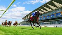 Today on Sky Sports Racing: Ascot, Fontwell and Hexham