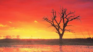 Global Heat Waves Challenge Communities Worldwide