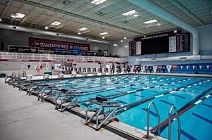 College Swim Teams Shine With Academic Honors Nationwide