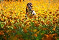 비 갠 후 쌀쌀한 아침…남부지방엔 오전까지 비 [내일날씨]