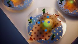 Hücreleri 4D'de Görmek