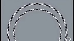 Yeni bir fizik yasası mı geliyor!!?